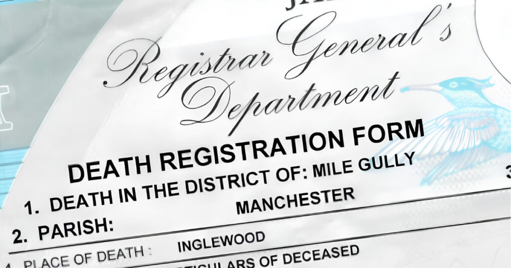 Details Image